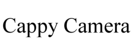 Mark drawing for CAPPY CAMERA
