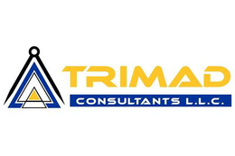 Mark drawing for TRIMAD CONSULTANTS L.L.C.