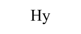 Mark drawing for HY