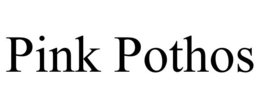 Mark drawing for PINK POTHOS