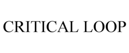 Mark drawing for CRITICAL LOOP