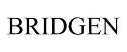 Mark drawing for BRIDGEN
