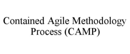 Mark drawing for CONTAINED AGILE METHODOLOGY PROCESS (CAMP)