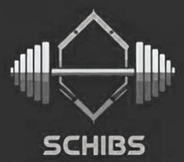 Mark drawing for SCHIBS