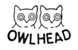 Mark drawing for OWL HEAD