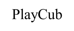 Mark drawing for PLAYCUB