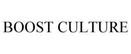 Mark drawing for BOOST CULTURE