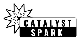 Mark drawing for CATALYST SPARK