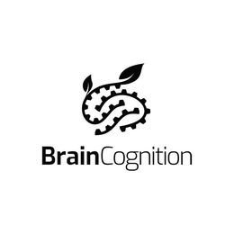 Mark drawing for BRAINCOGNITION