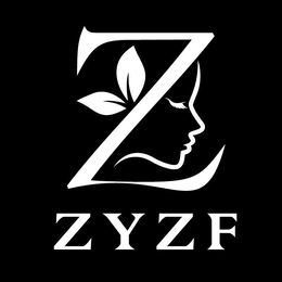 Mark drawing for Z ZYZF