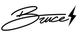 Mark drawing for BRUCE
