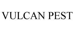 Mark drawing for VULCAN PEST
