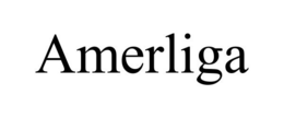 Mark drawing for AMERLIGA