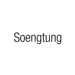 Mark drawing for SOENGTUNG