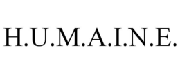 Mark drawing for H.U.M.A.I.N.E.