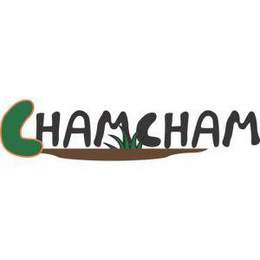 Mark drawing for CHAMCHAM