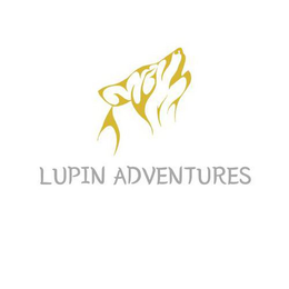 Mark drawing for LUPIN ADVENTURES
