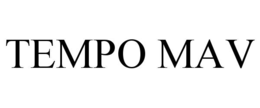 Mark drawing for TEMPO MAV