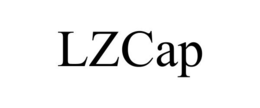 Mark drawing for LZCAP
