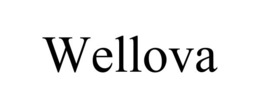 Mark drawing for WELLOVA