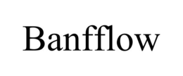 Mark drawing for BANFFLOW