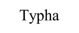 Mark drawing for TYPHA