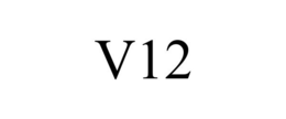Mark drawing for V12