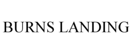 Mark drawing for BURNS LANDING