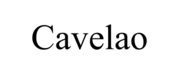 Mark drawing for CAVELAO