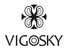 Mark drawing for VIGOSKY