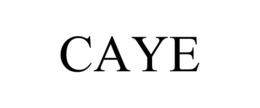 Mark drawing for CAYE