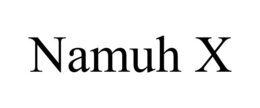 Mark drawing for NAMUH X
