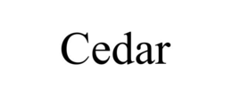 Mark drawing for CEDAR
