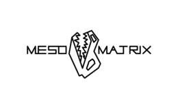 Mark drawing for MESO MATRIX