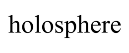Mark drawing for HOLOSPHERE