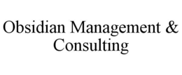 Mark drawing for OBSIDIAN MANAGEMENT & CONSULTING