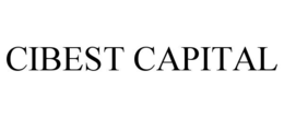 Mark drawing for CIBEST CAPITAL