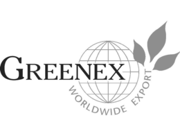 Mark drawing for GREENEX WORLDWIDE EXPORT