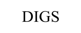 Mark drawing for DIGS