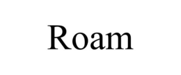 Mark drawing for ROAM