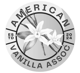 Mark drawing for AMERICAN VANILLA ASSOC ESTD 2024