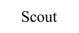 Mark drawing for SCOUT