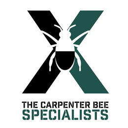 Mark drawing for X THE CARPENTER BEE SPECIALISTS