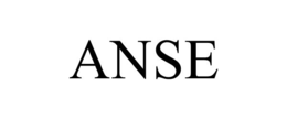 Mark drawing for ANSE