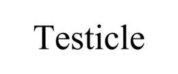 Mark drawing for TESTICLE