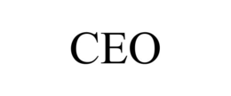 Mark drawing for CEO