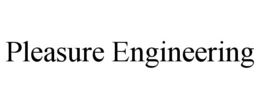 Mark drawing for PLEASURE ENGINEERING