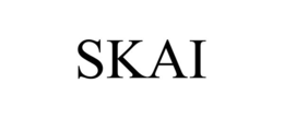 Mark drawing for SKAI