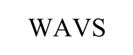 Mark drawing for WAVS