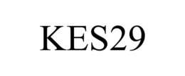Mark drawing for KES29